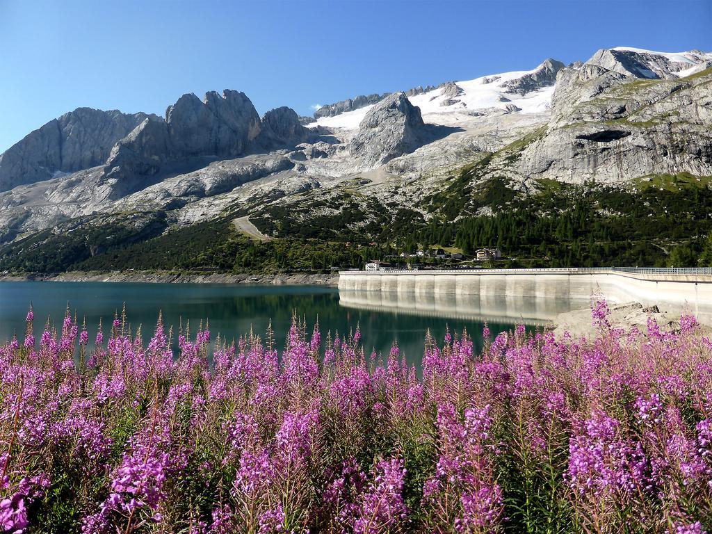 Rifugio Fedaia Hotel Malga Ciapela Luaran gambar